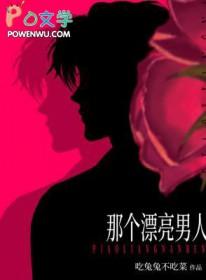 那个漂亮男人番外完结了吗