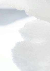 病娇校园破解版