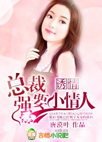 噬心总裁的前妻