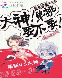 菜鸟vs大神