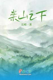 崇山之下作者长晴