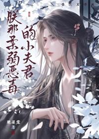 朕那柔弱恶毒的小夫君by