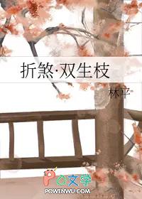 折煞·双生枝 番外 作者林平