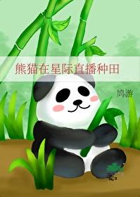 直播熊猫