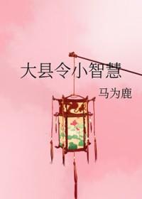大县令小仵作讲的什么