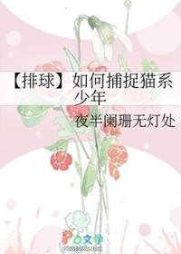 排球少年猫头鹰