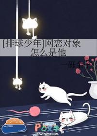 排球少年cp表