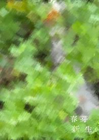 新芽心燕最新消息