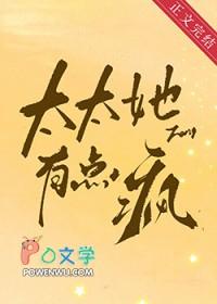 太太她有点疯txt百度全文阅读