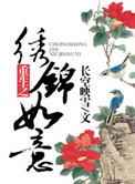 重生之锦绣