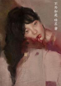 不外如是意思