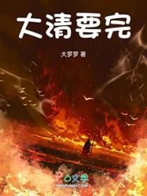 大清要完大结局