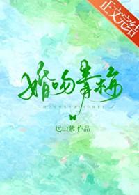 婚吻青梅by远山紫笔趣阁最新章节
