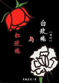 红玫瑰与白玫瑰话剧