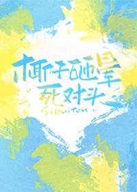 椰子砸死过人吗