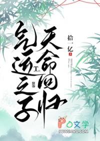 气运之子简介