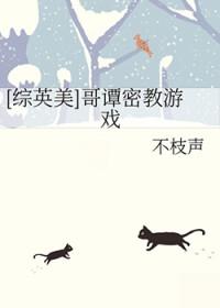 综英美哥谭有间