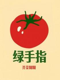 绿手指中药贴敷