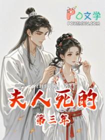 夫人死的第三年原著