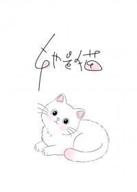 楚医生