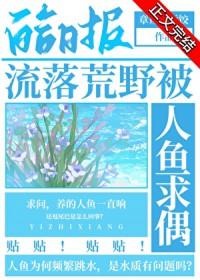 沦落荒岛选择哪个人鱼
