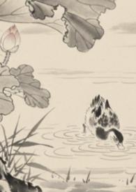 全京城都在等我掉马盘搜搜