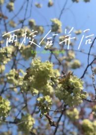 两个大学合并