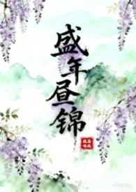 盛年锦时txt新浪