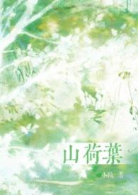 山荷叶花语和寓意