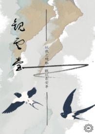 观云浓香型白酒52度