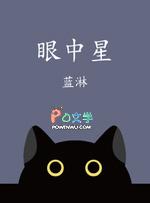 眼中星by蓝淋完结了吗
