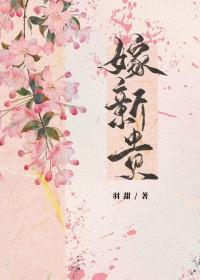 嫁新贵意己免费阅读