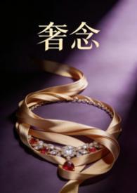 奢念完结