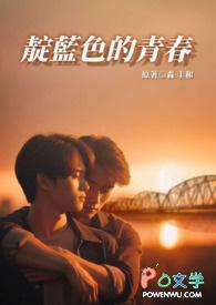 靛蓝色的心情 完整版