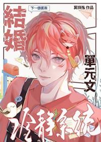 结婚冷静系统 作者得翼妄言txt