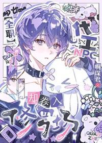 全职npc是什么意思