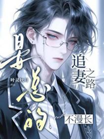 晏总的追妻之路不漫长叶灵秋月百度