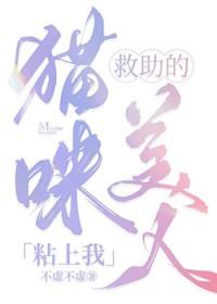 小猫救主人视频