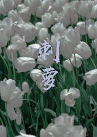 刺萝卜长什么样