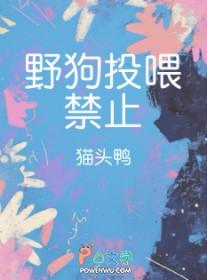 家狗喂野狗