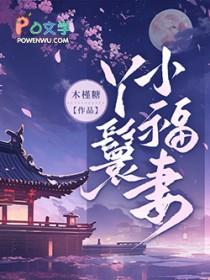 丫鬟小福妻全文免费阅读