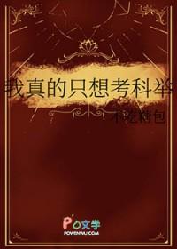 我真的只想考科举/今朝折桂_