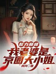 我的老婆是权臣