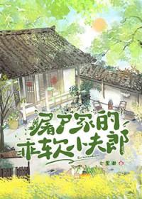 屠户家的小夫郎txt