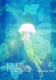 小透明beta被痴汉包围(nph)cherryknot 著