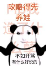 攻略是啥意思