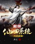 超级仙城系统