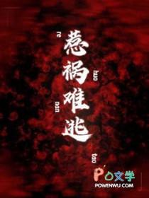 惹祸上身全文免费