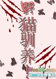 野猫驯养!-魏承泽