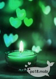 窃杳免费全文阅读